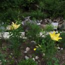 승희네농장 이미지