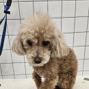 반자주 진해점 이미지