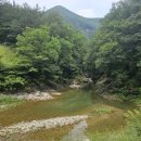 솔밭민박 이미지