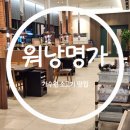 워낭명가 | [협찬] 대전 도안동 한우 맛집 워낭명가 방문 후기