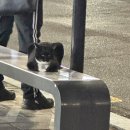 대단이옷장 | 옷장속엔 아직도 패딩이