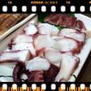 다찌