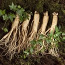 은생당한의원 이미지