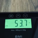 (주)굿게임스튜디오 | 주간 박루시 | 112. 여름휴가를 다녀왔다🏝️ 그리고 일상으로 복귀