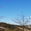 표충사 1 이미지