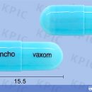 성인약품 이미지