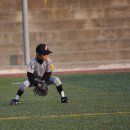 신광초교 이미지