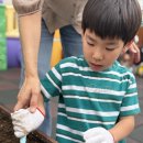 어울림반 8월 4주 놀이 이야기(무 모종 심기) 이미지