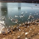 우정지하도 화장실 이미지