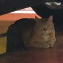 빈이랑은이랑 이미지