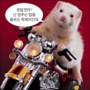 벌툰파리지앵김량장점 네이버블로그