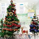 리딩타운어학원 이미지