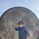 라파엘케어 이미지