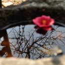 생활 역학 이미지