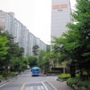 교동경희대석사태권도 Daum카페