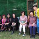 현도농장 이미지