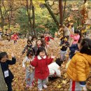 궁전유치원 이미지