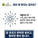 자연닮은한의원 | 담적, 부종, 복부팽만이 반복될 때 한의학에서는 이렇게 봅니다. [이수역한의원-서리풀동의보감한의원]