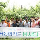 배봉사 티스토리