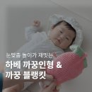 하베 | 아기 선물 고민 해결! 활용도 만점 하베 까꿍인형&amp;까꿍블랭킷 솔직 후기