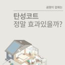 목마루 | 곰팡이 없애는 탄성코트, 정말 효과 있을까? 사용 전 필수 정보