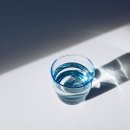 투명한 하루