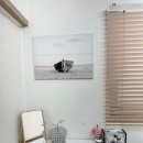 선브로우 이미지