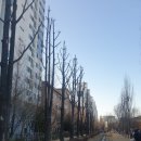 김쌤헤어 - 평택시 | 김쌤헤어