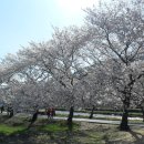 섬진강변 ~구례 ~곡성(레일바이크) 이미지