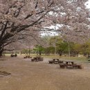 경기안산지역자활센터 이미지