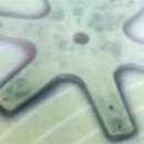 ㈜인천특장차 이미지