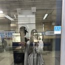 올래PC방 네이버블로그