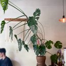 과일카페 190 이미지