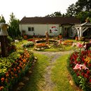 호랑가시나무민박 | 태안 가볼 만한 곳 베스트 10, 자연 속 여행코스!