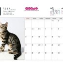 나무타는고양이 구경하는강아지 이미지