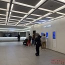 나를 담은 공간ㅣ디뮤지엄 《취향가옥 : Art in Life, Life in Art》 관람 후기
