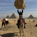 람세스빌2 | 이집트 여행 완전 정복 | 적기·비용·동선·치안 2026 최신 정보