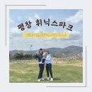 청림사우나 | 휘닉스파크 모바일체크인 그린동 스위트 객실 후기 부대시설 볼거리 | 아기랑 평창여행 | 아기랑 휘닉스...