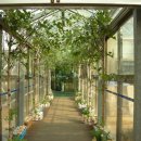 안산 식물원 이미지