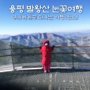 하나카정비프라자 | 발왕산 cctv 눈꽃, 발왕산 케이블카 할인, 정상 등산코스 즐겁다