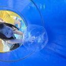 공굴리기 이미지