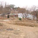 김미순농장 | 165마리 유기견을 돌보는 `천사`