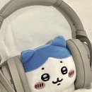 짠하자 네이버블로그