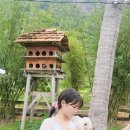 포동목장 이미지