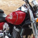 데이스타 이미지