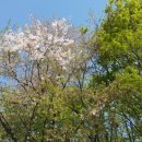 내화모터스 이미지