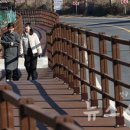 대청호수로 이미지