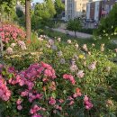 성북본튼튼의원 이미지