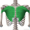 빅브로짐 휘트니스 구산점 이미지