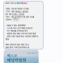 쿨사이언스 | 결혼 준비 기록 ③ | 부산 W웨딩박람회 vs 다이렉트웨딩박람회 다녀온 솔직 비교 후기